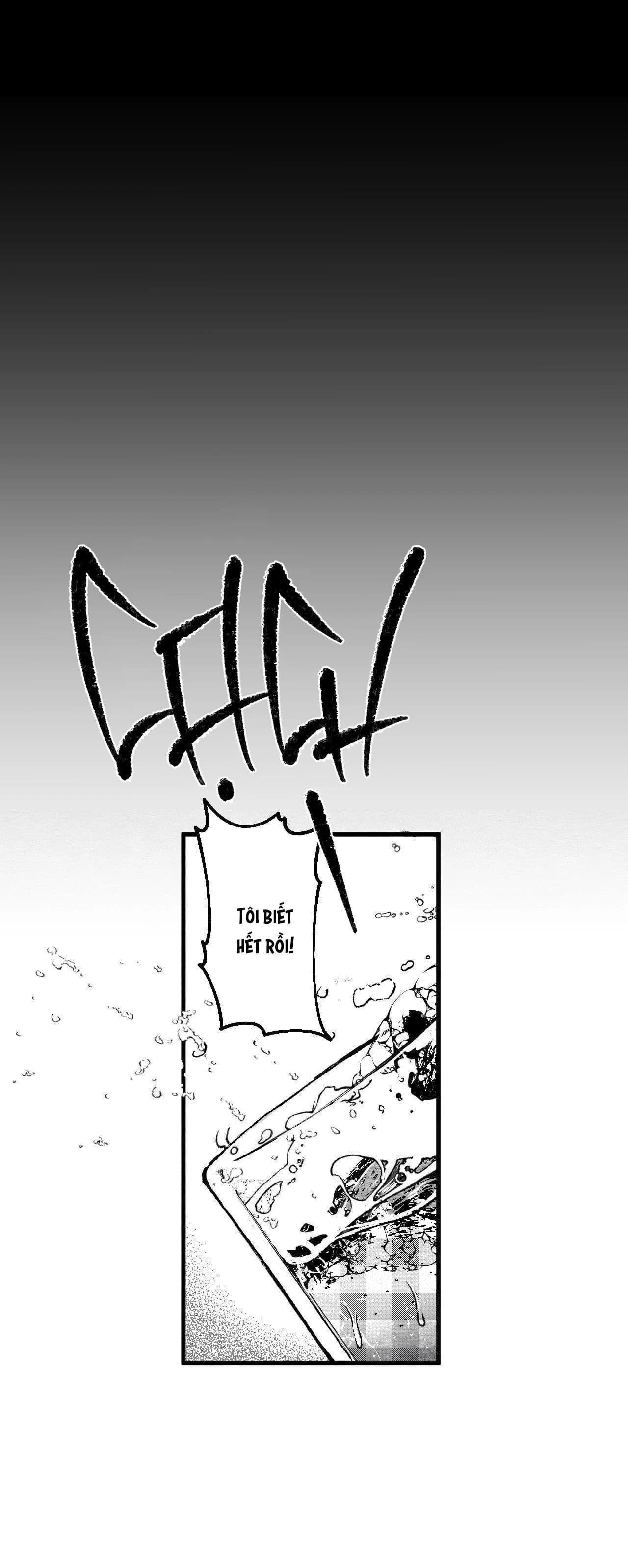 Vóc Dáng Toàn Mỹ