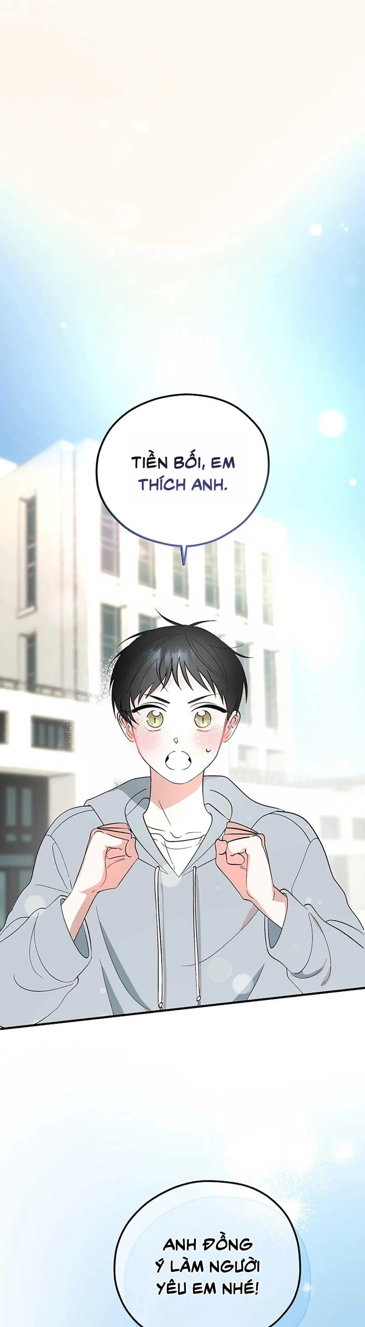 XIN HÃY YÊU THƯƠNG DÙ TÔI LÀ CHUỘT