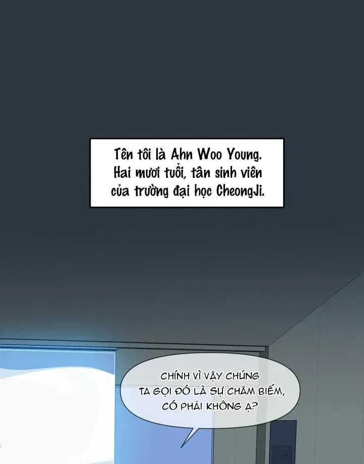 Các Bậc Tiền Bối