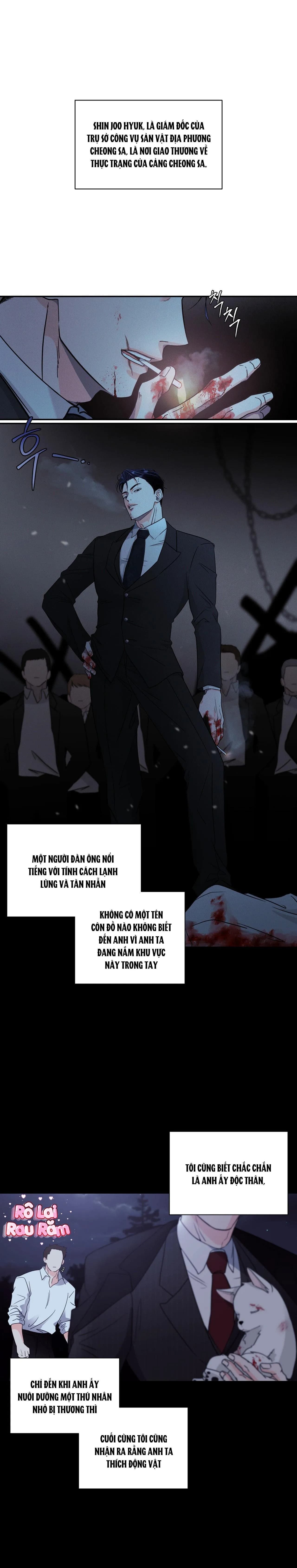 Cậu ấy thật là đáng yêu