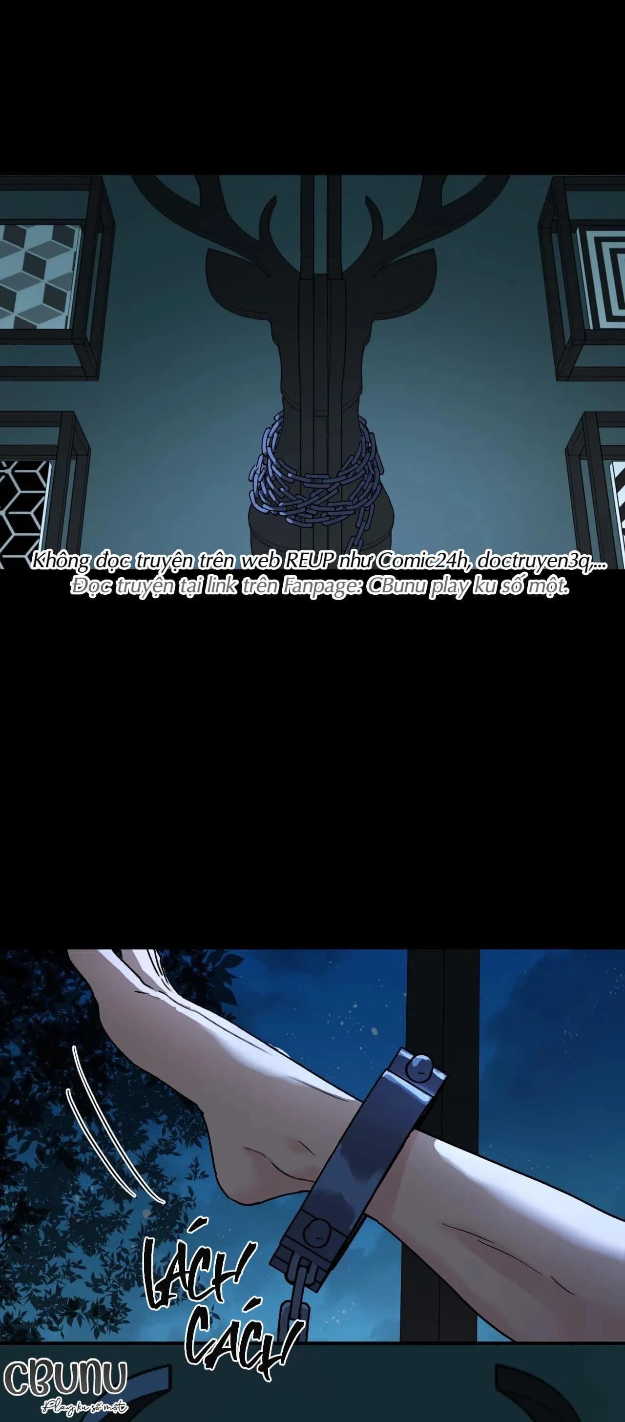 Cây Không Có Rễ