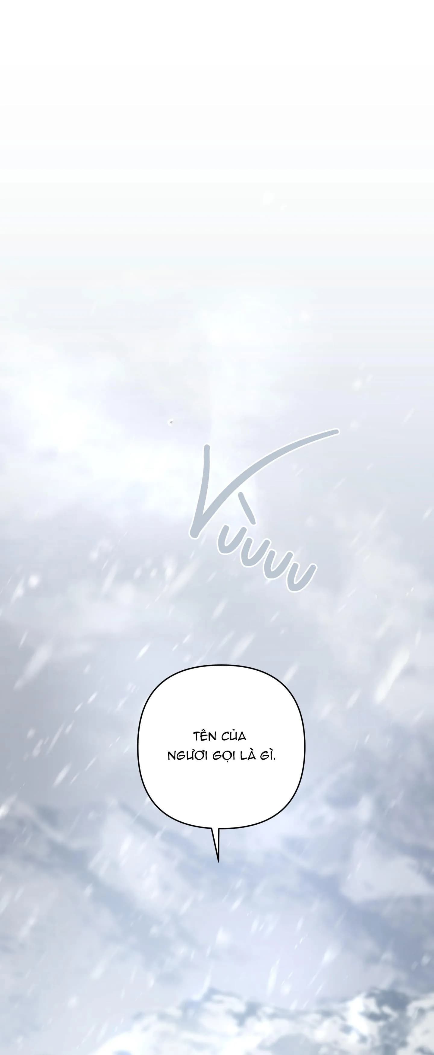 Đóa hoa của mặt trời