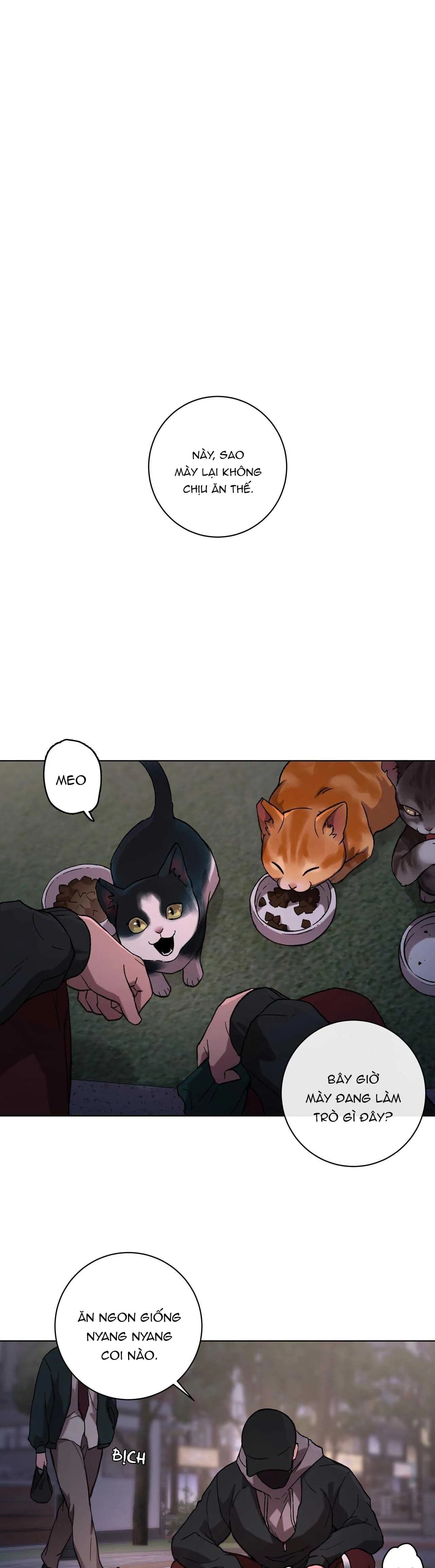 GIẢI PHÓNG BẢN THÂN