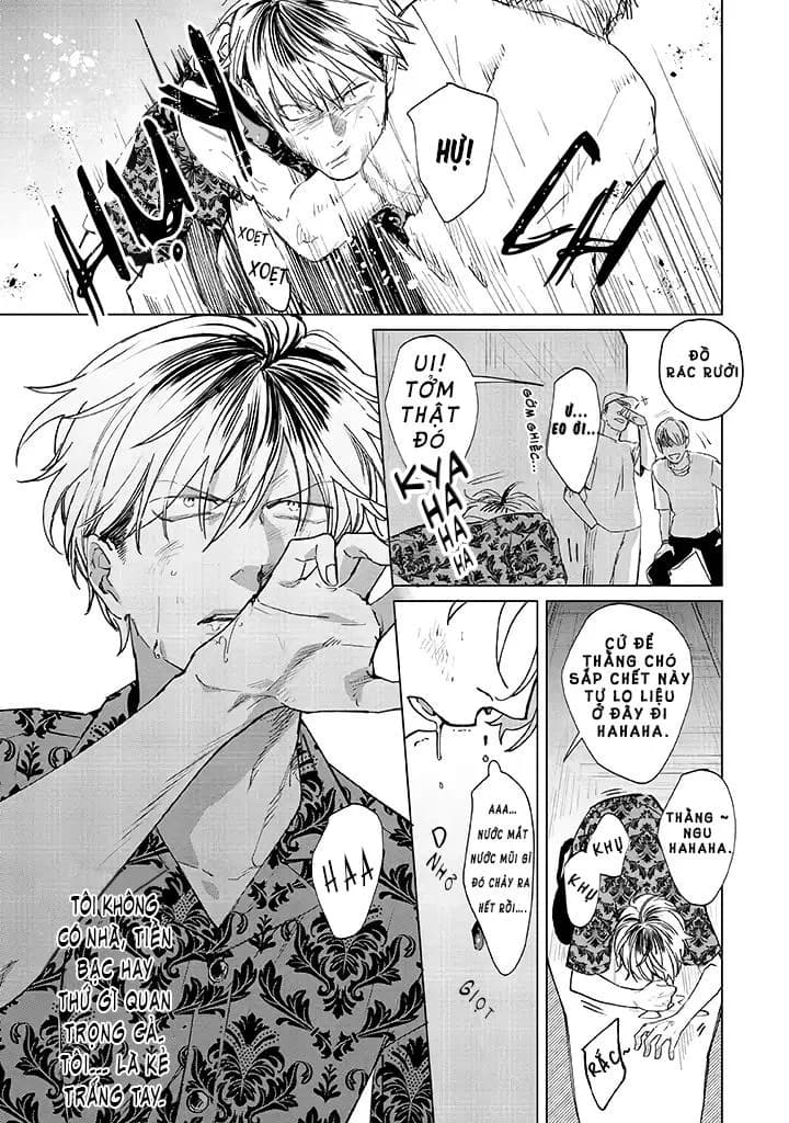 Ong Mật Và Tía Tô