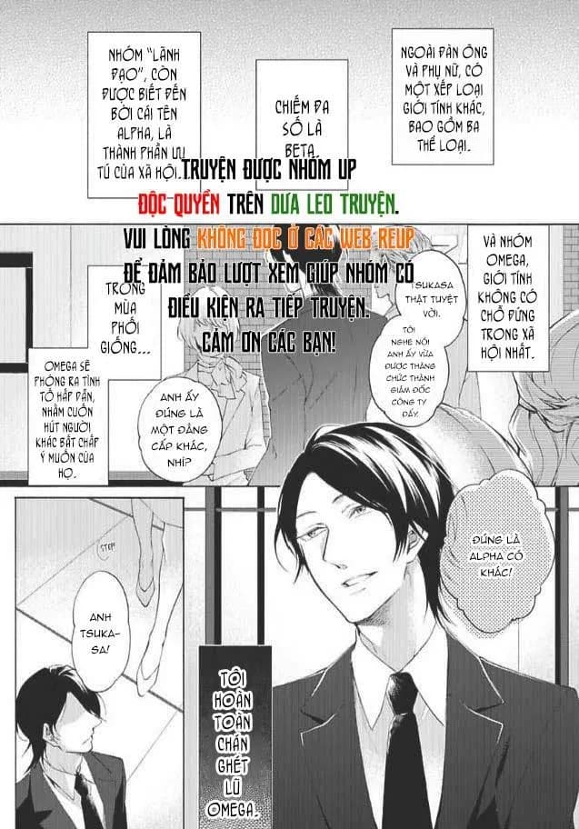 Bạn Đời Giả Dối