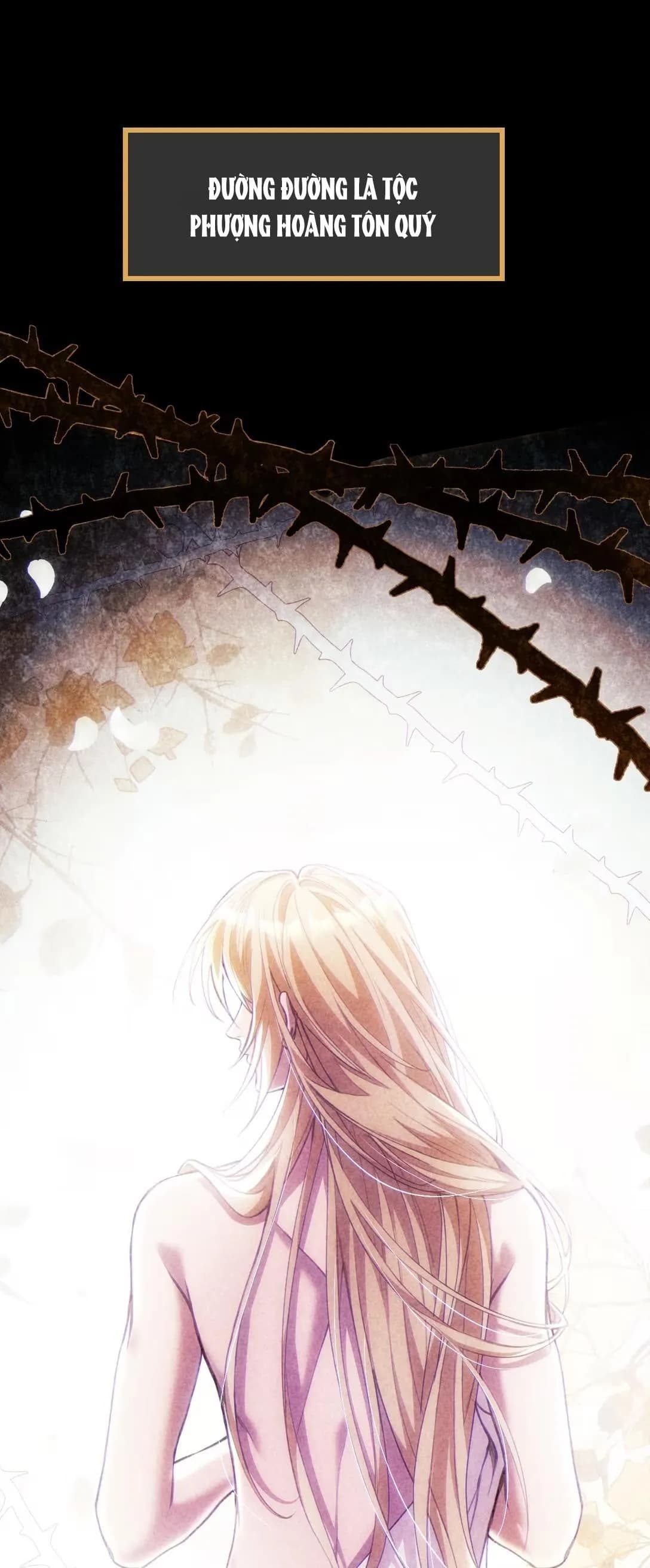 Thánh Tử Điện Hạ Bị Gán Mác Bừa Bãi