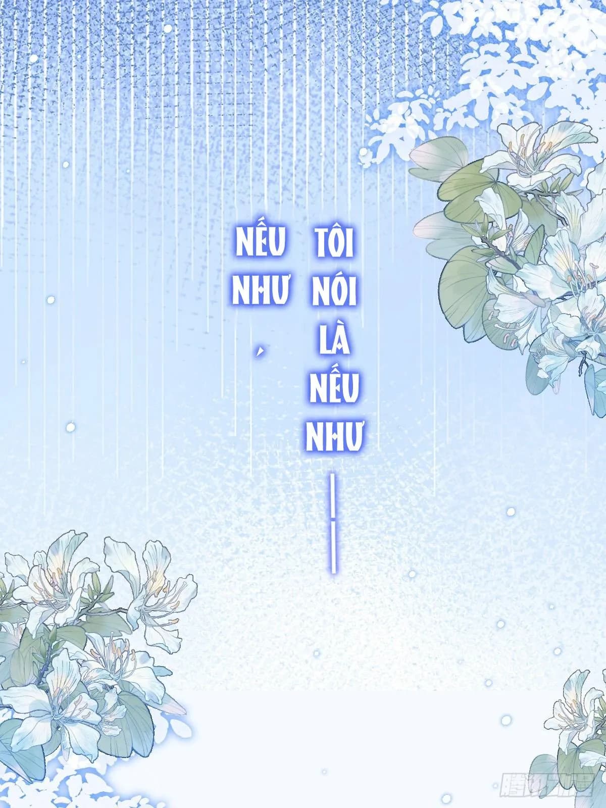 Thử Động Vào Khoai Tây Nhà Tôi Xem?