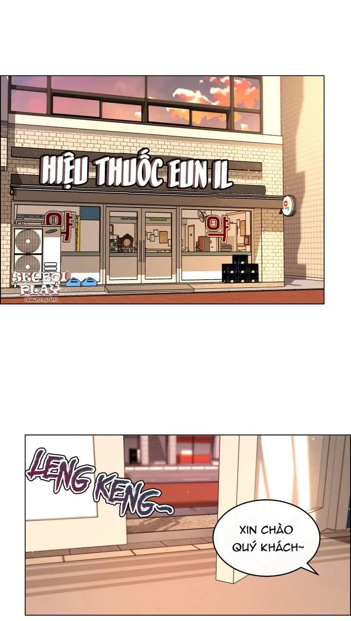 Thực Vật Trị Liệu