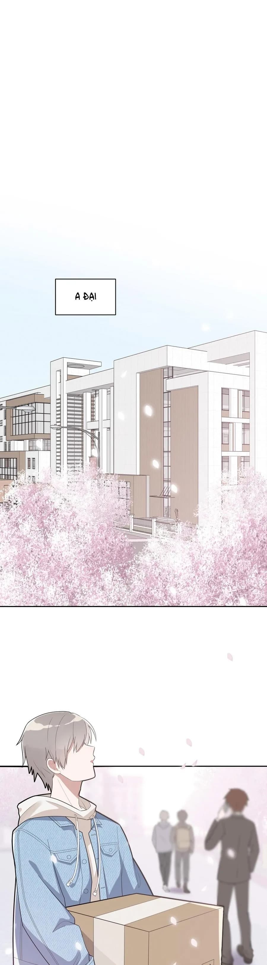 Tình Yêu Kẹo Ngọt