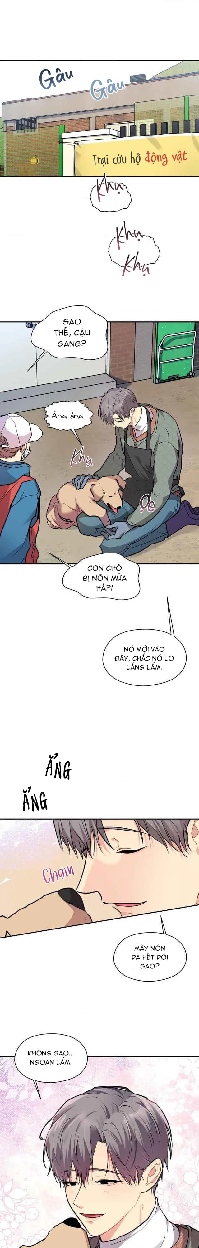 Em Nguyện Làm Chó Của Anh