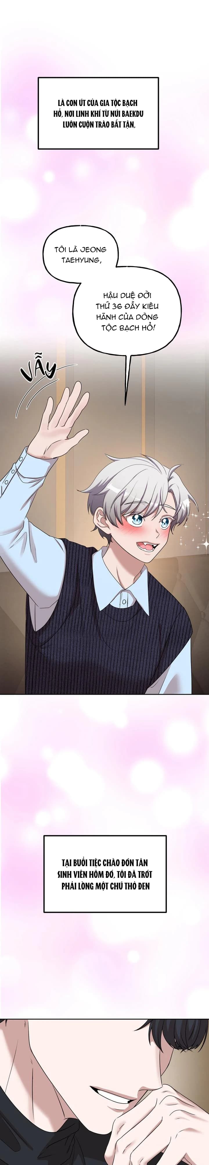 Cắm Cờ Lên Đầu Hổ Núi Baekdu