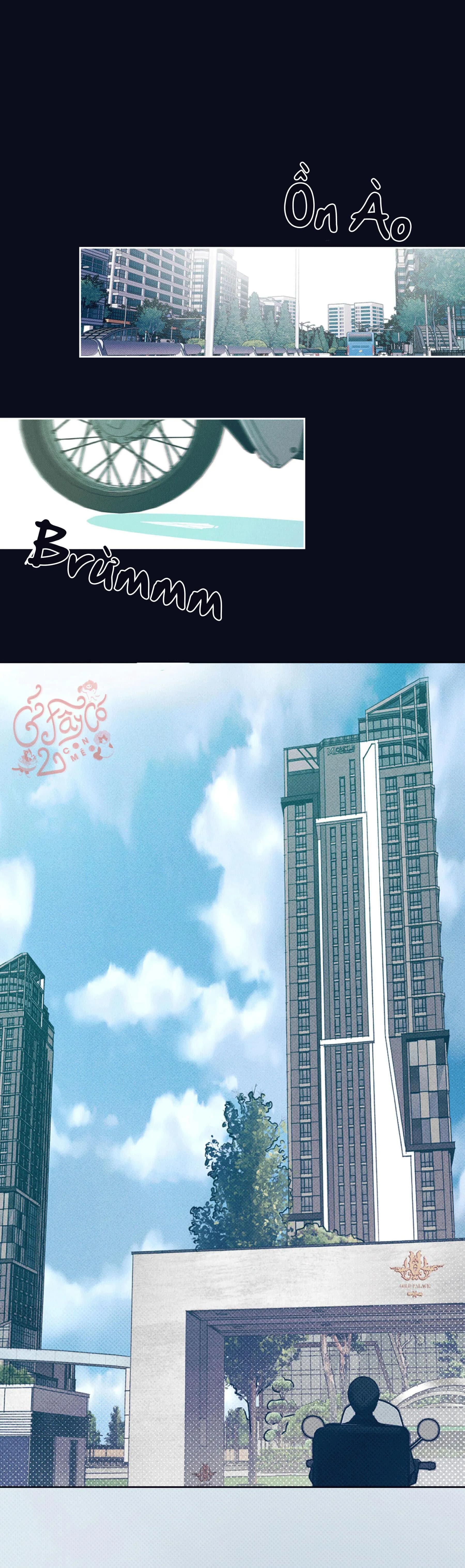 Chàng giao pizza và Gold Palace