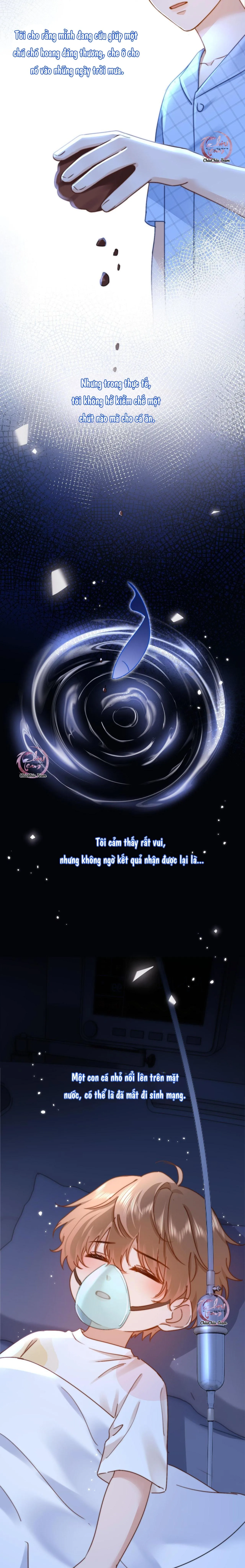 Chất Dị Ứng Đáng Yêu Chapter 11 Trang 4