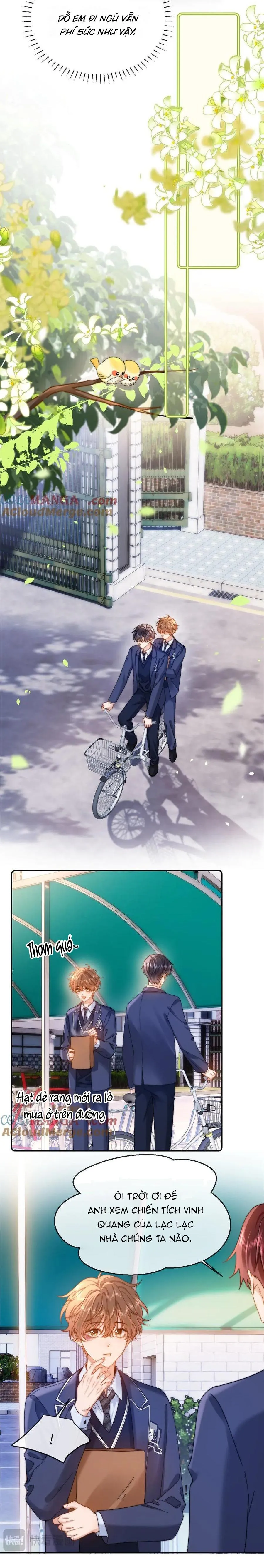 Chất Dị Ứng Đáng Yêu Chapter 40 Trang 5