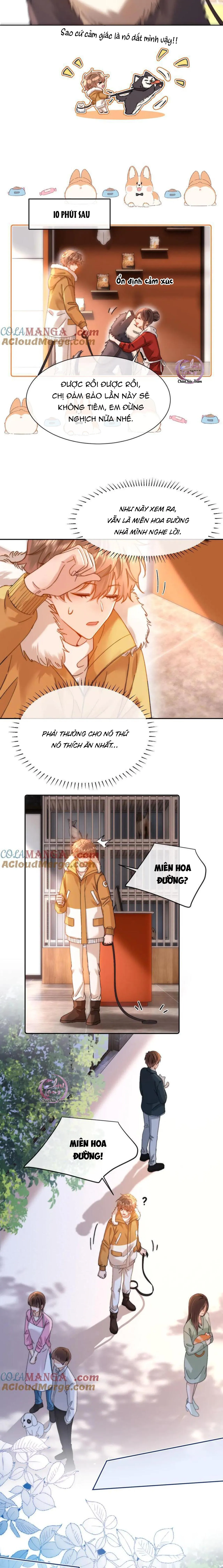 Chất Dị Ứng Đáng Yêu Chapter 49 Trang 5