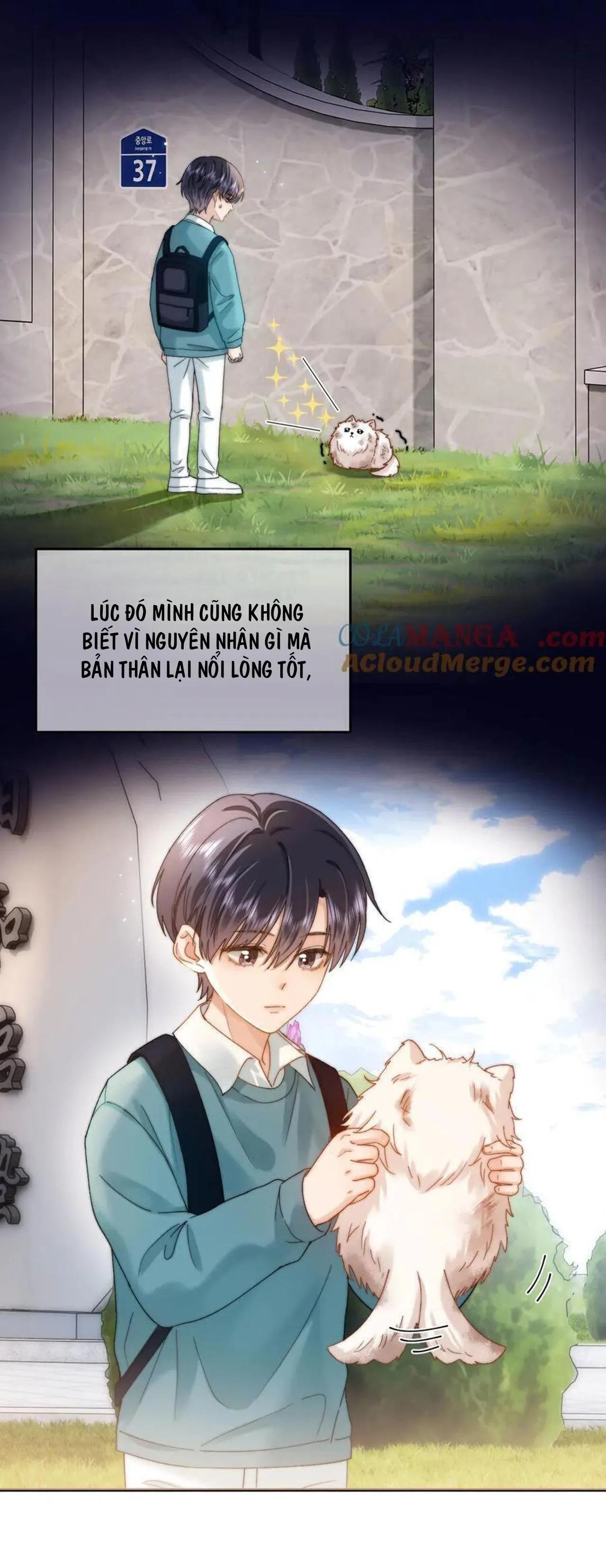 Chất Dị Ứng Đáng Yêu Chapter 52 Trang 4