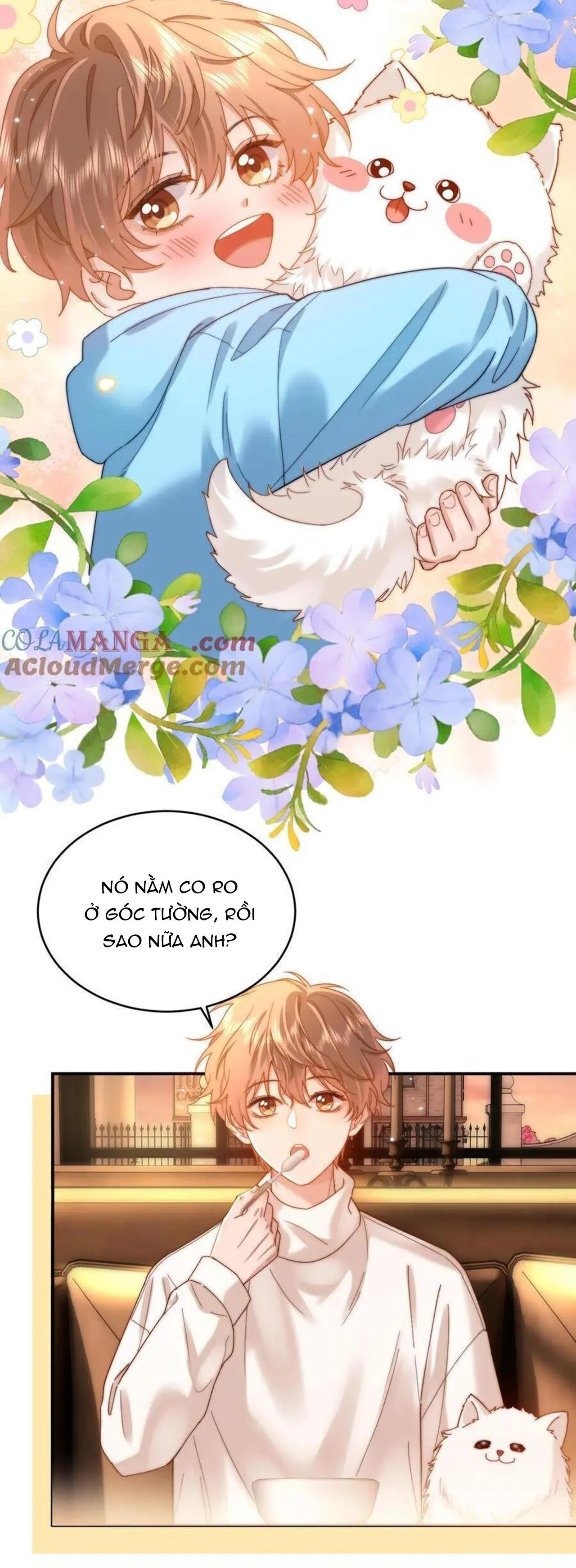 Chất Dị Ứng Đáng Yêu Chapter 52 Trang 6