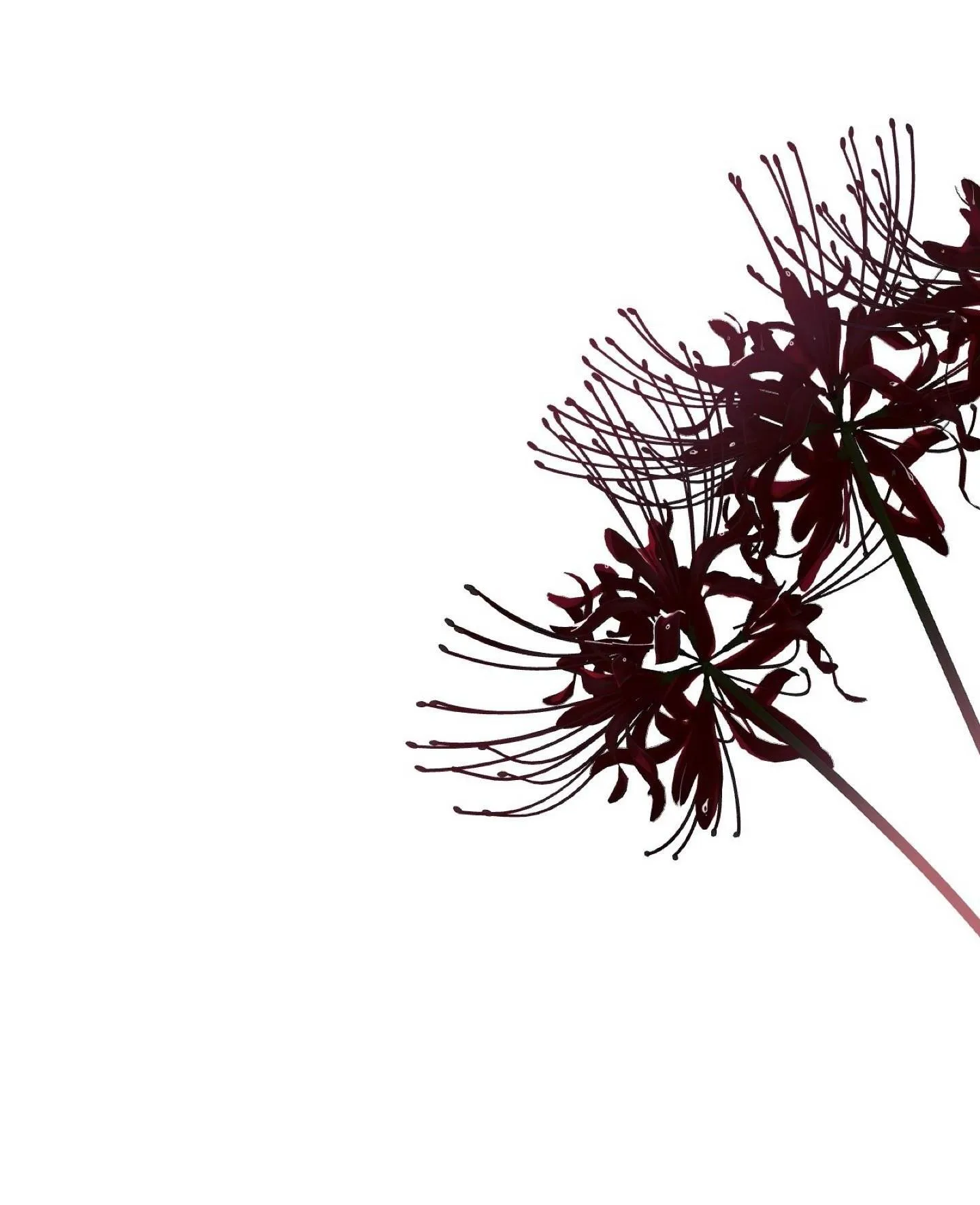 Che Giấu Chapter 3 Trang 38