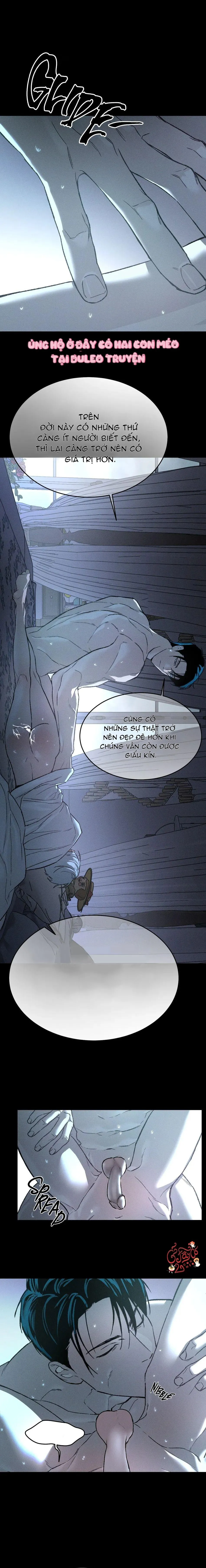 Che Giấu Tung Tích Chapter 5 Trang 8