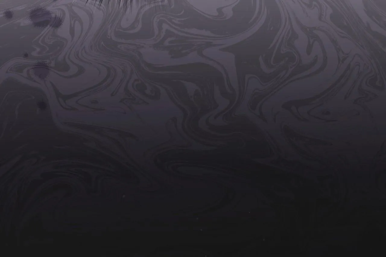 CHEAT DAY Chapter 11 Trang 55