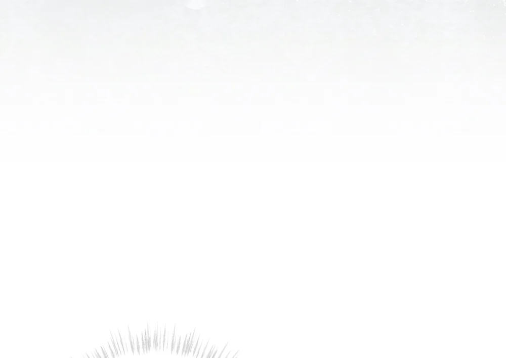 CHEAT DAY Chapter 16 Trang 28