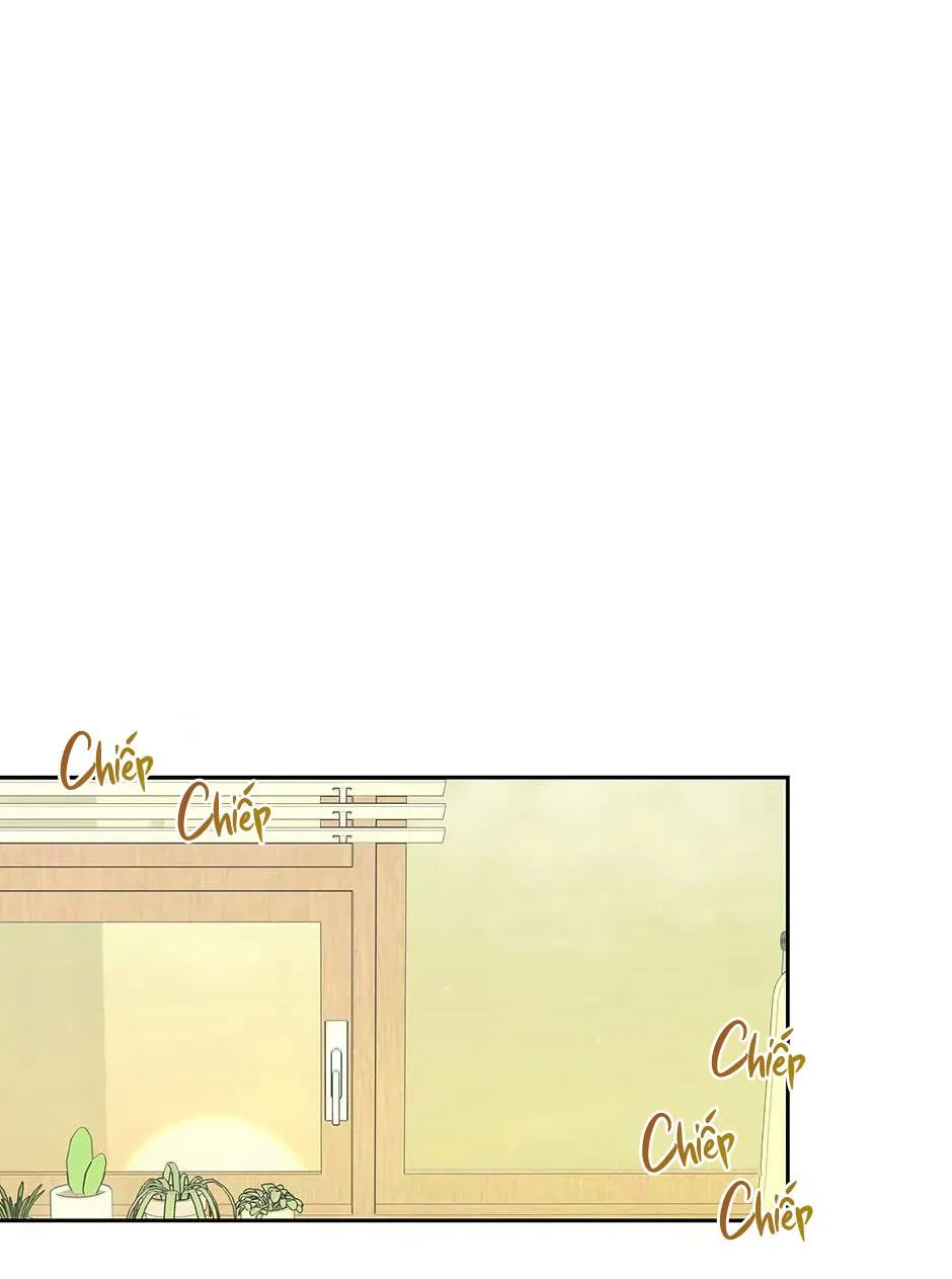 Chén Ghệ Mới Bồ Cũ Chapter 5 Trang 8