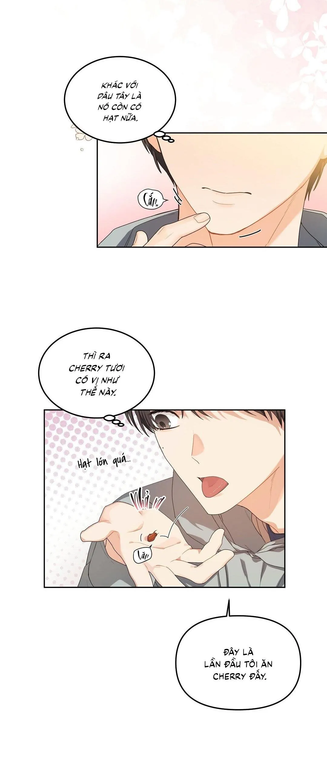 Cherry Cake Chapter 5 Trang 11