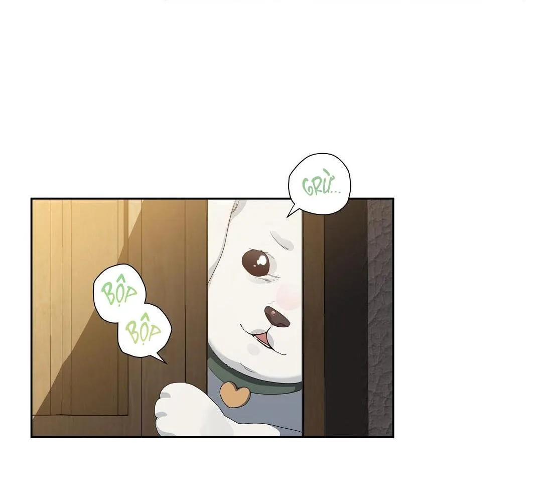 Cherry Cake Chapter 26 Trang 11