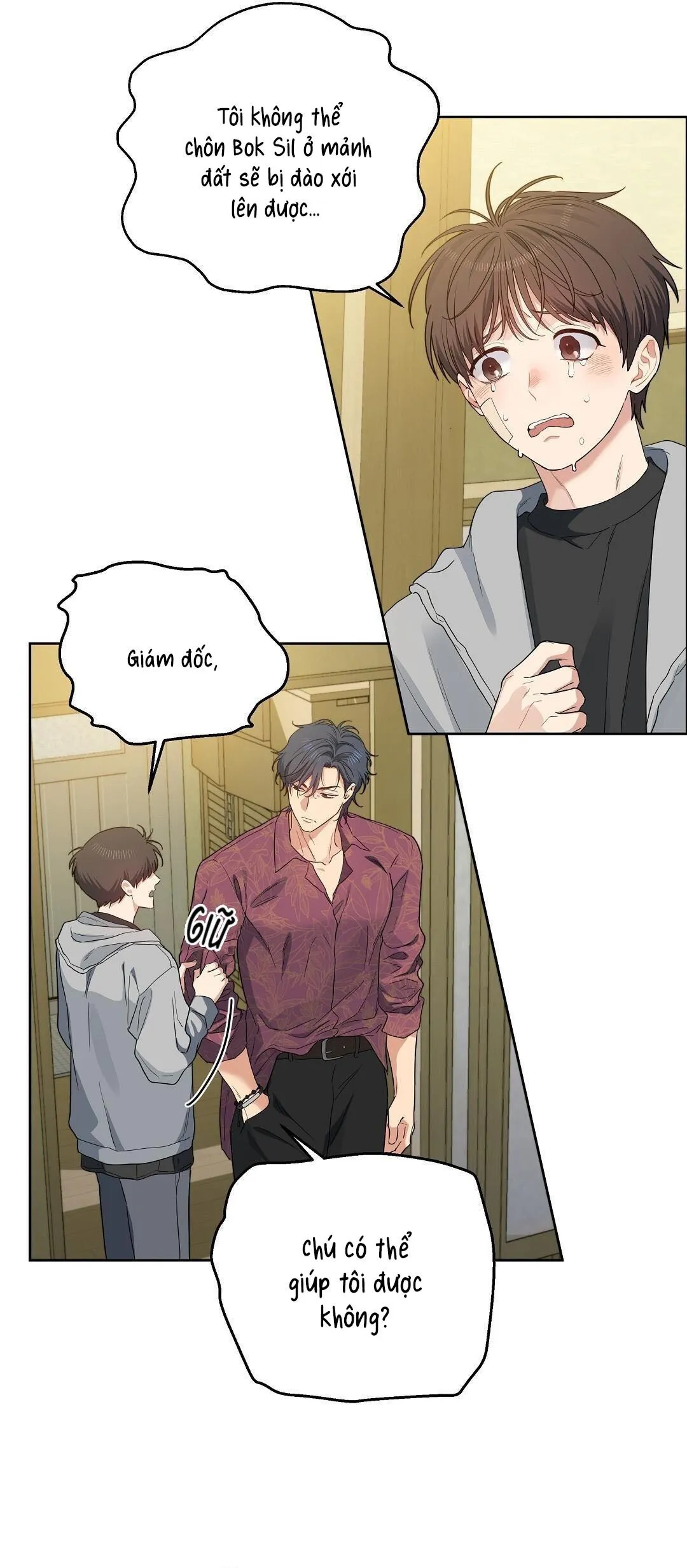 Cherry Cake Chapter 35 Trang 37