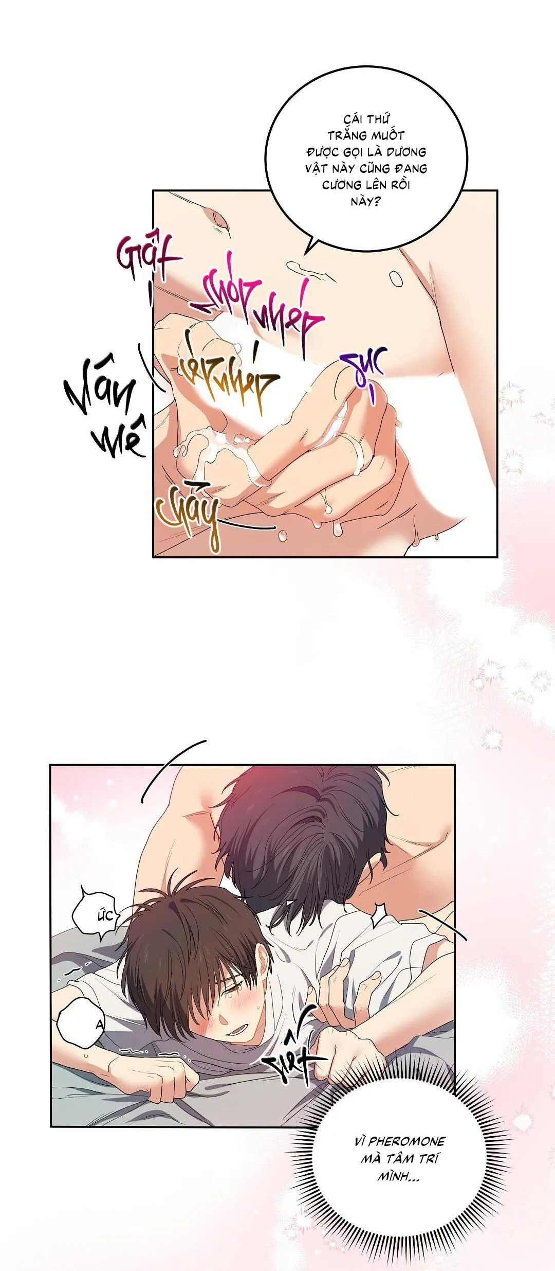 Cherry Cake Chapter 1 Trang 5