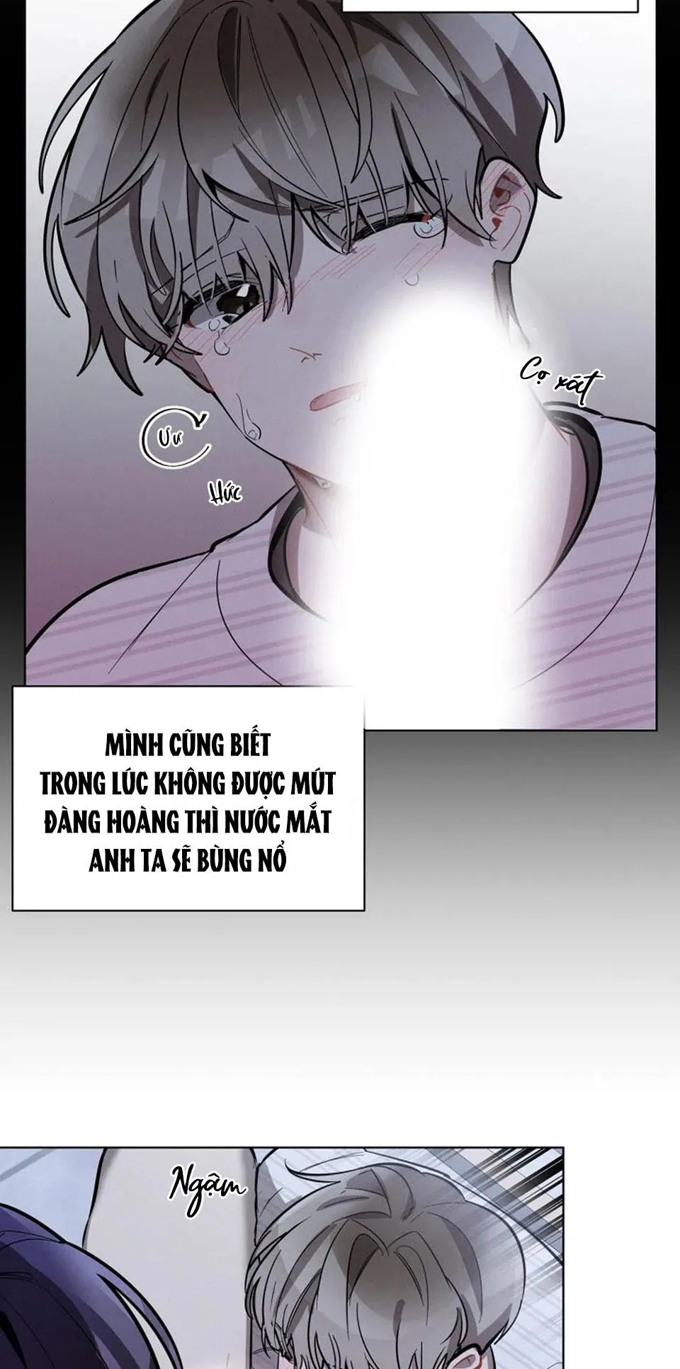 CHERRY SCANDAL Chapter 10 Trang 39