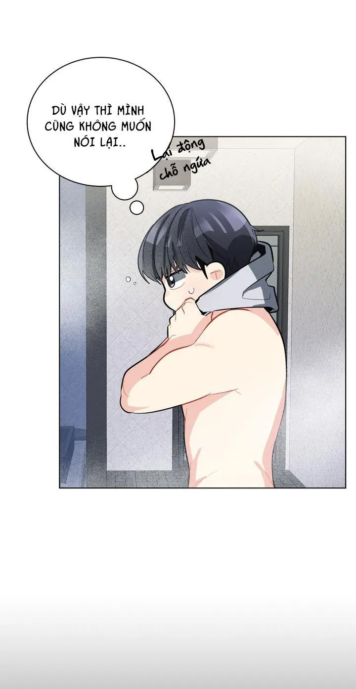 CHERRY SCANDAL Chapter 20 Trang 60