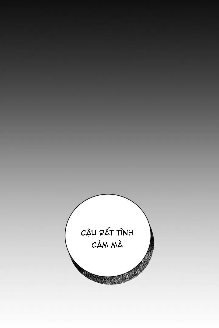 CHERRY SCANDAL Chapter 23 Trang 12