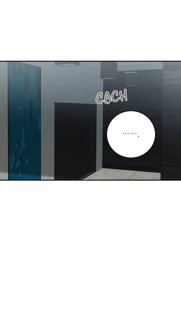 CHERRY SCANDAL Chapter 35 Trang 15