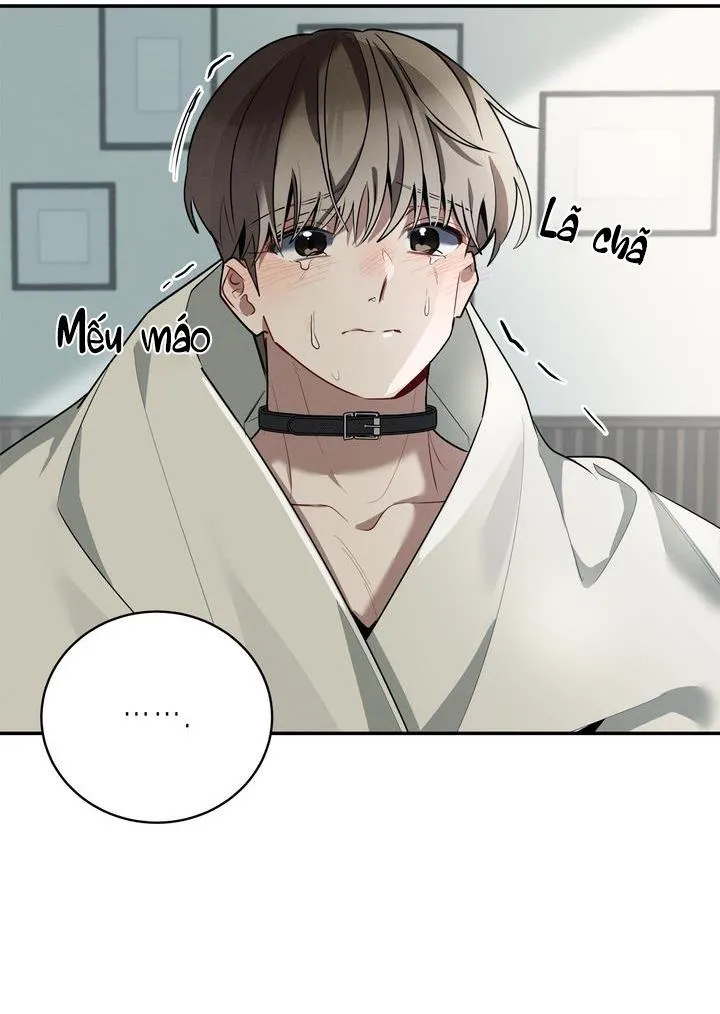 CHERRY SCANDAL Chapter 37 Trang 40