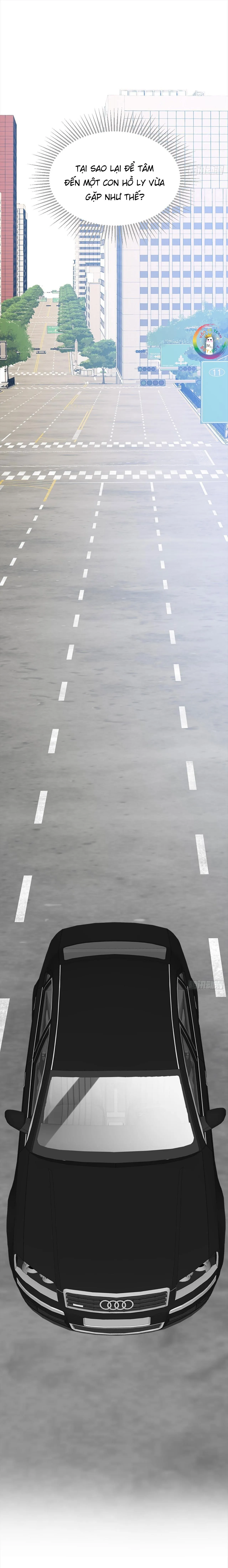 Chỉ Riêng Đuôi Là Không Được!!! Chapter 8 Trang 3