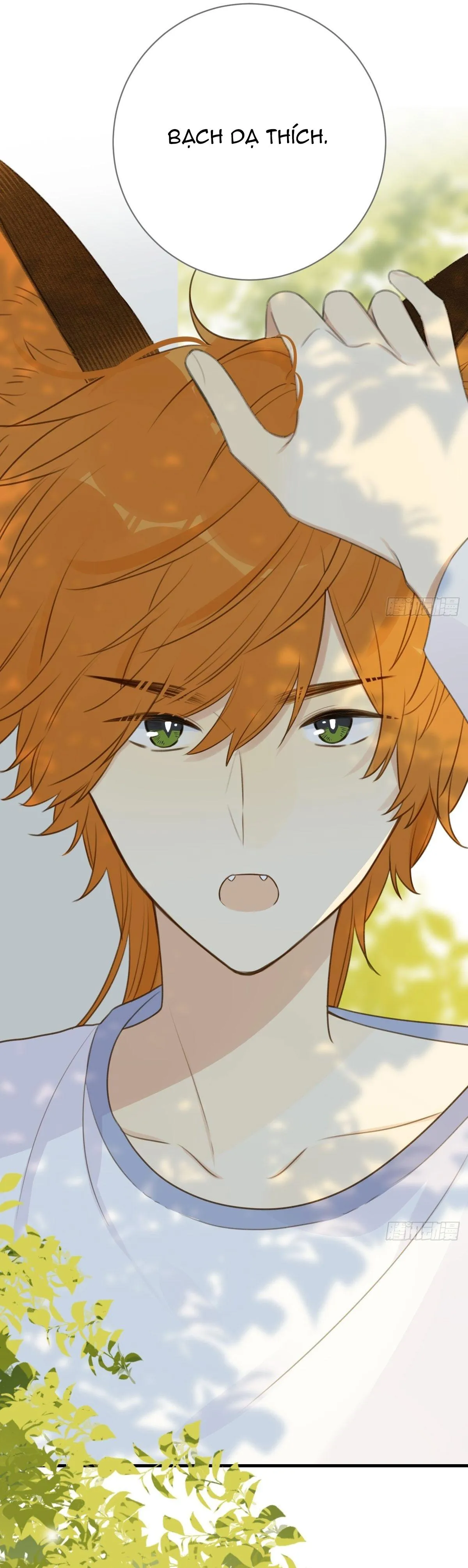 Chỉ Riêng Đuôi Là Không Được!!! Chapter 13 Trang 23