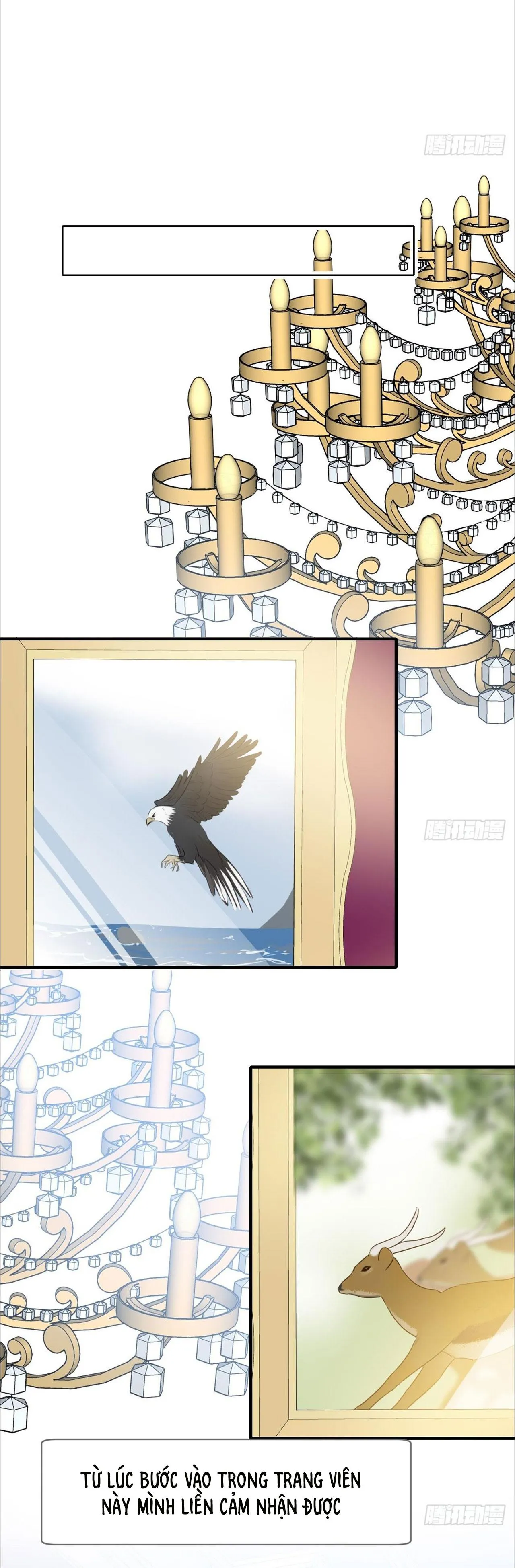 Chỉ Riêng Đuôi Là Không Được!!! Chapter 22 Trang 4