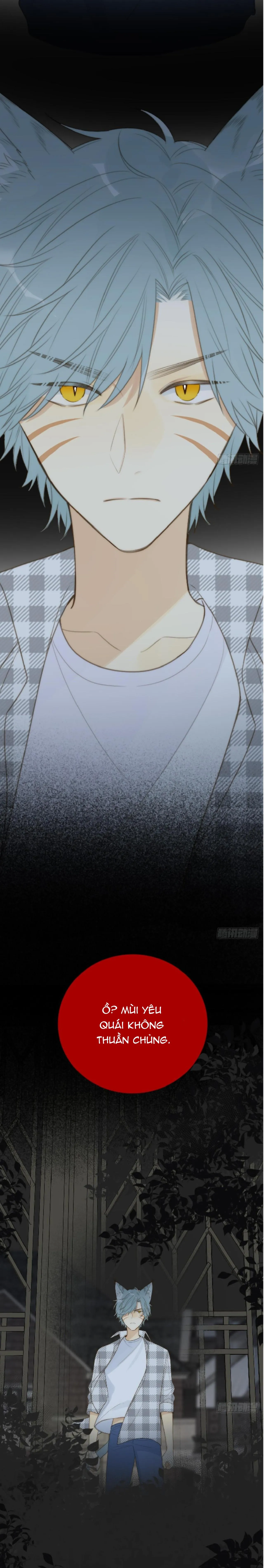 Chỉ Riêng Đuôi Là Không Được!!! Chapter 27 Trang 14