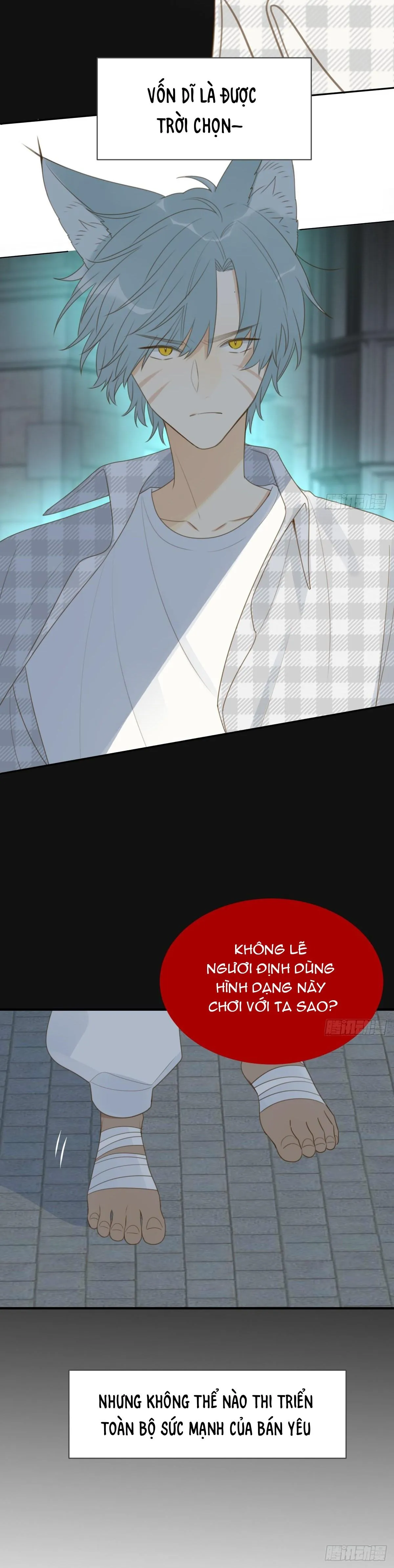 Chỉ Riêng Đuôi Là Không Được!!! Chapter 28 Trang 5