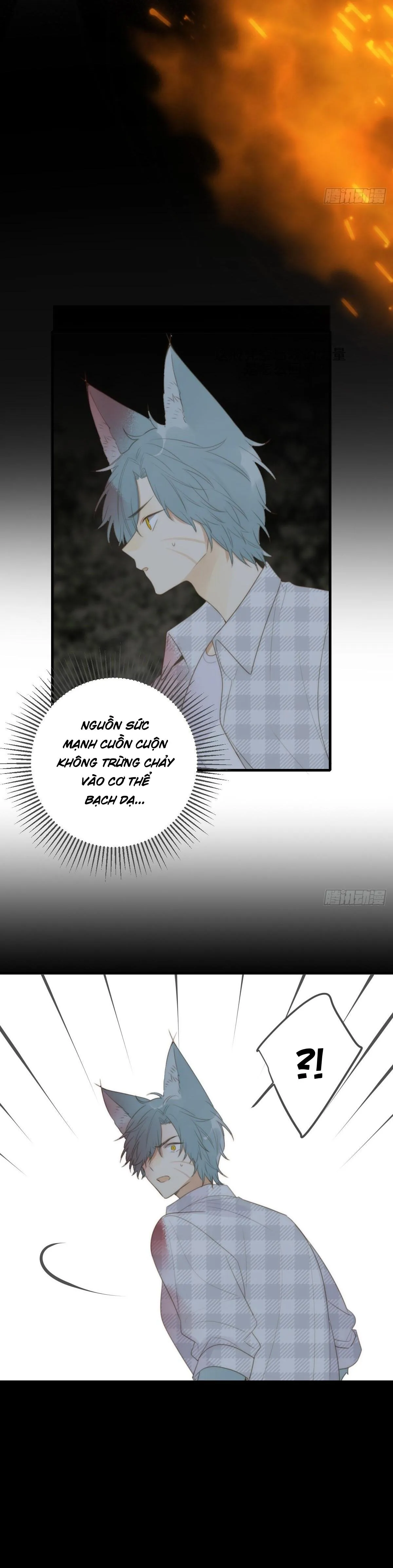 Chỉ Riêng Đuôi Là Không Được!!! Chapter 29 Trang 19