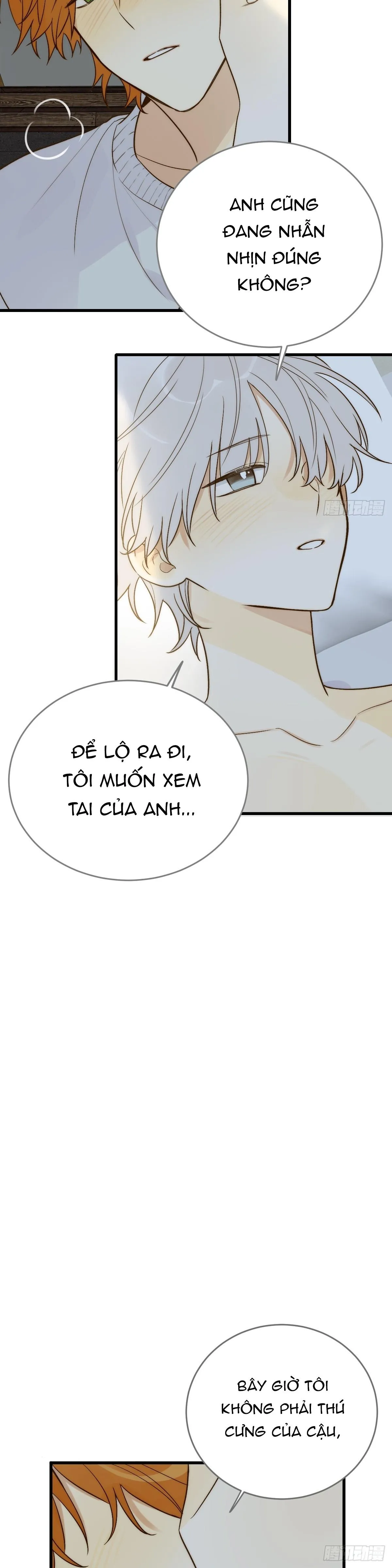 Chỉ Riêng Đuôi Là Không Được!!! Chapter 48 Trang 11