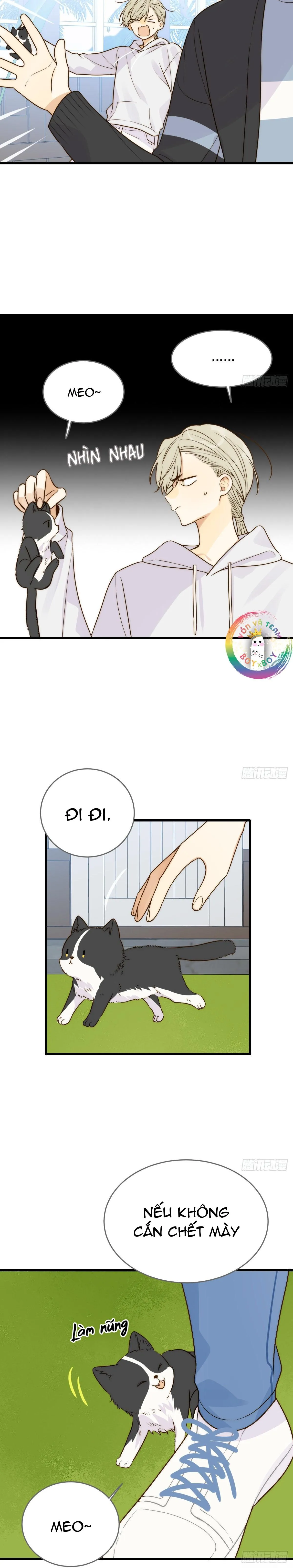 Chỉ Riêng Đuôi Là Không Được!!! Chapter 55 Trang 11