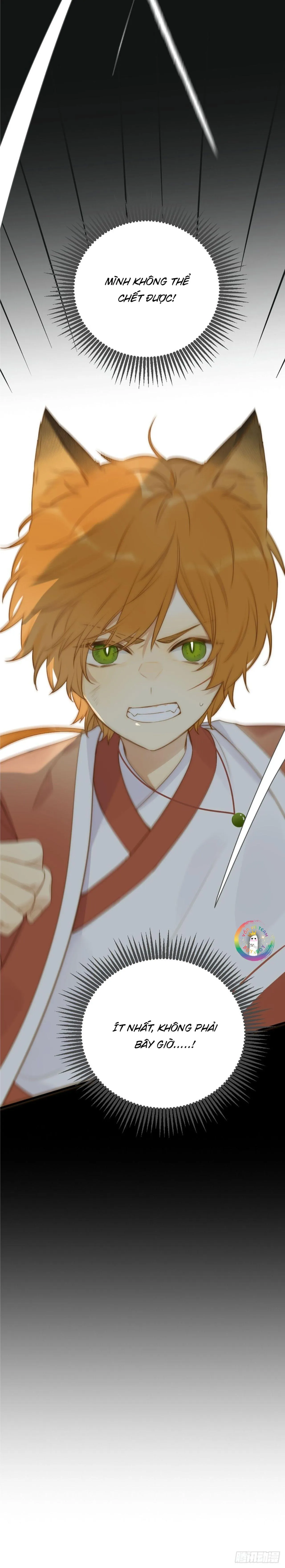 Chỉ Riêng Đuôi Là Không Được!!! Chapter 1 Trang 4