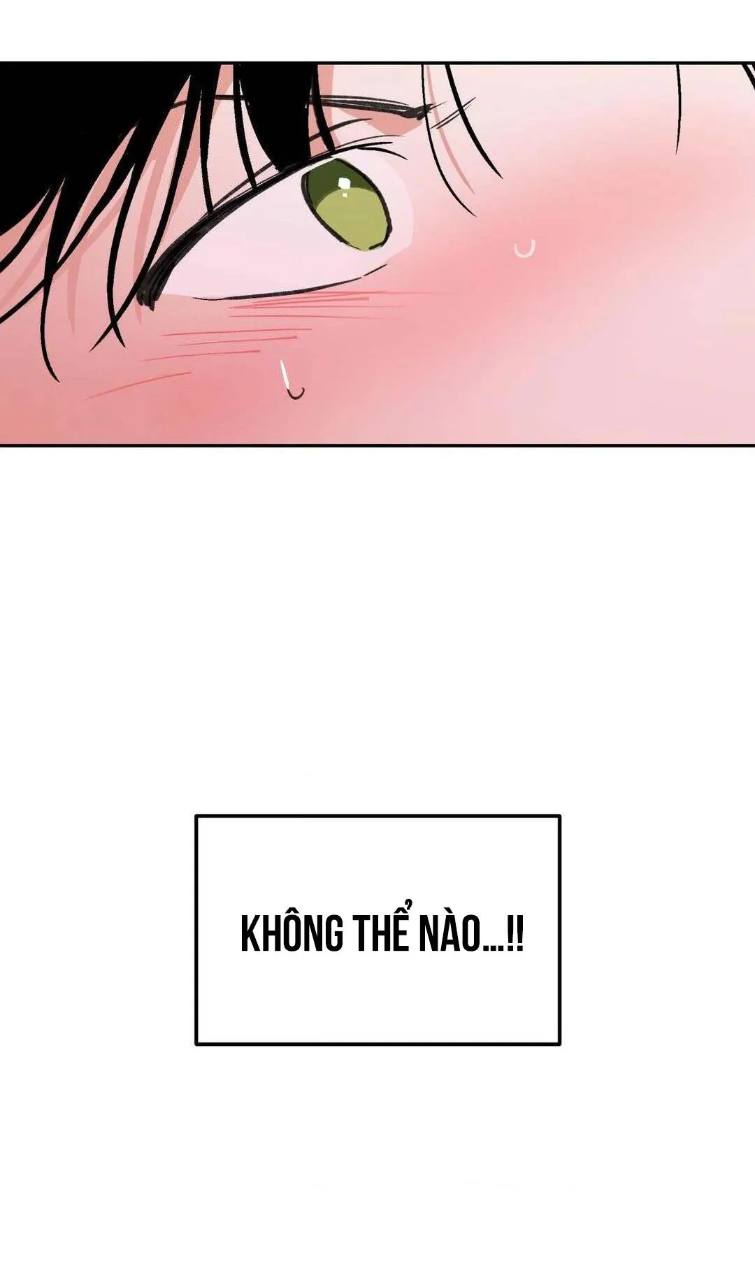 Chiếc Lá Lay Động Theo Giai Điệu Chapter 6 Trang 45