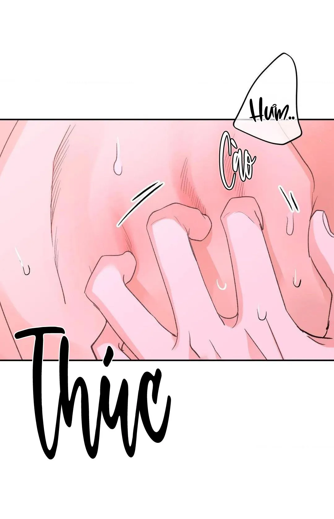 Chiếc Lá Lay Động Theo Giai Điệu Chapter 11 Trang 24