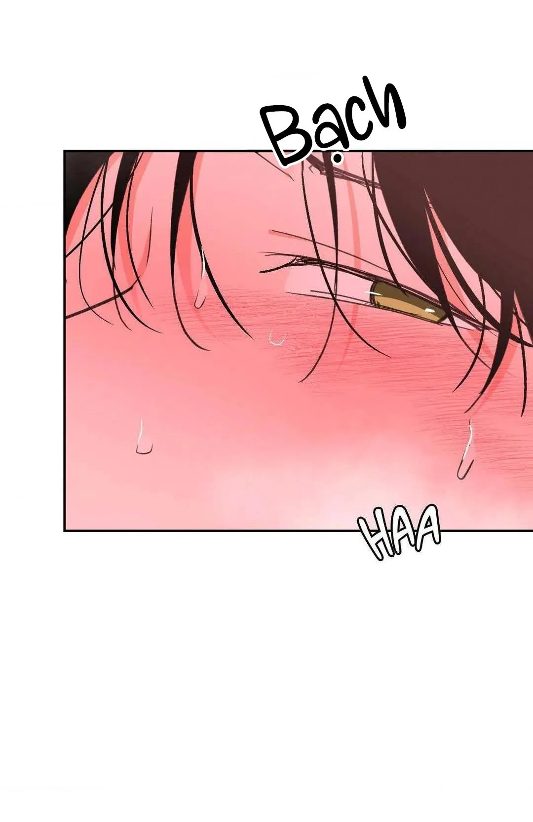 Chiếc Lá Lay Động Theo Giai Điệu Chapter 13 Trang 11