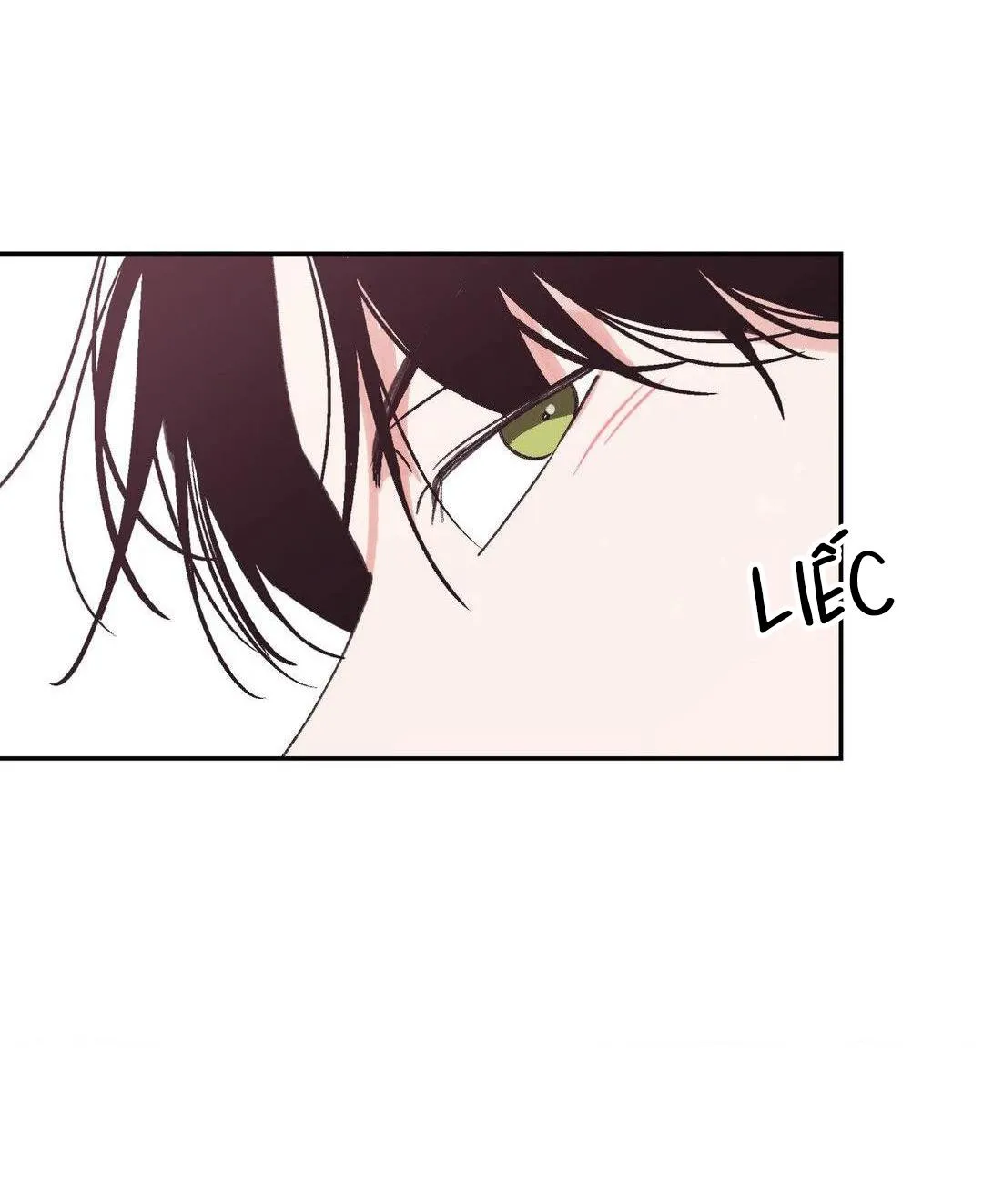 Chiếc Lá Lay Động Theo Giai Điệu Chapter 15 Trang 56