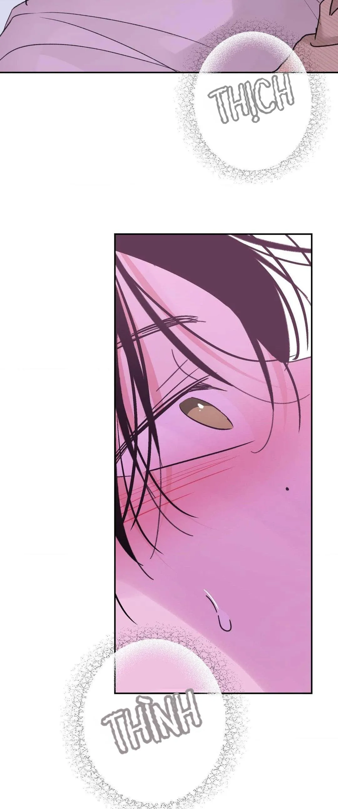 Chiếc Lá Lay Động Theo Giai Điệu Chapter 16 Trang 62