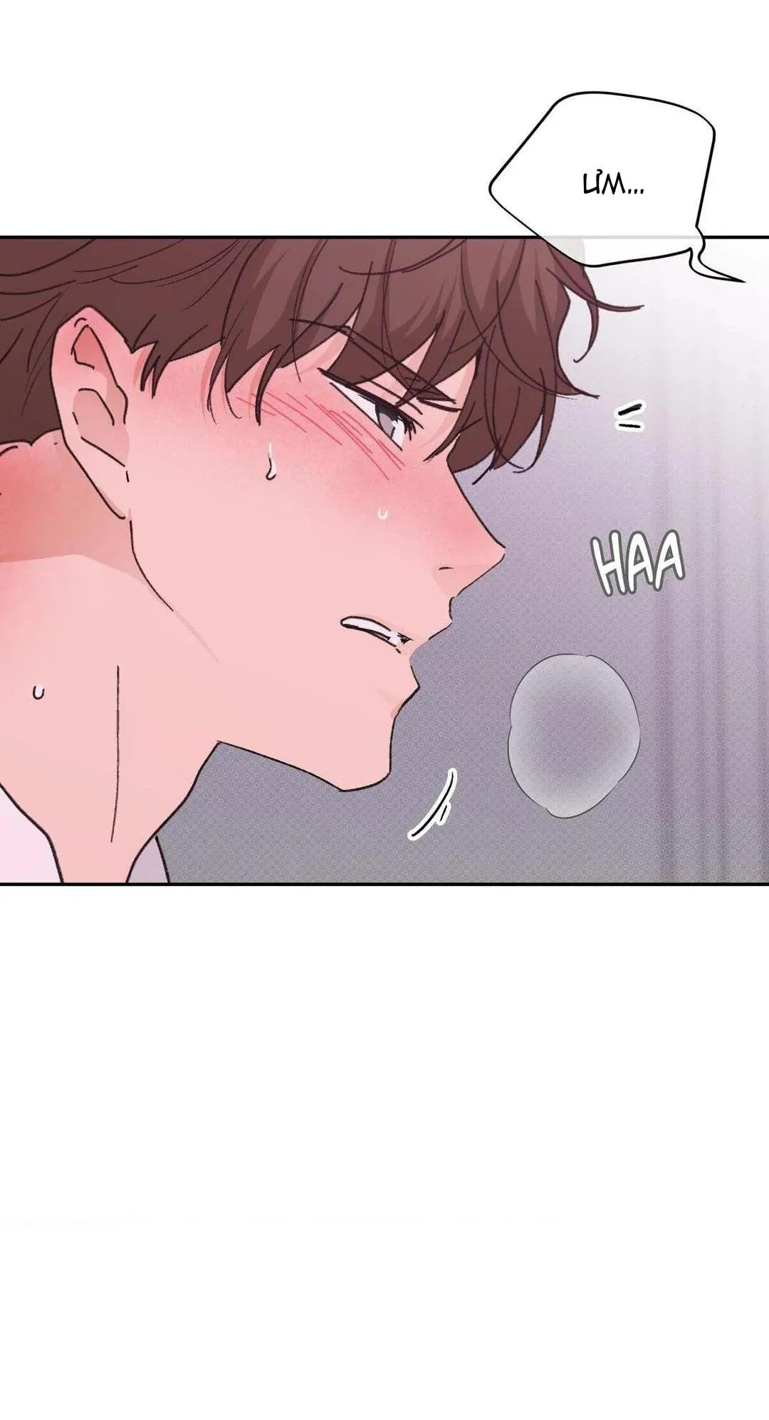 Chiếc Lá Lay Động Theo Giai Điệu Chapter 19 Trang 7